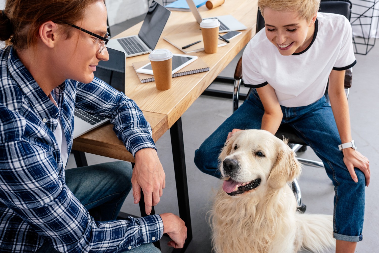 Ein Hund ist mit am Arbeitsplatz | Credit: iStock.com/LightFieldStudios
