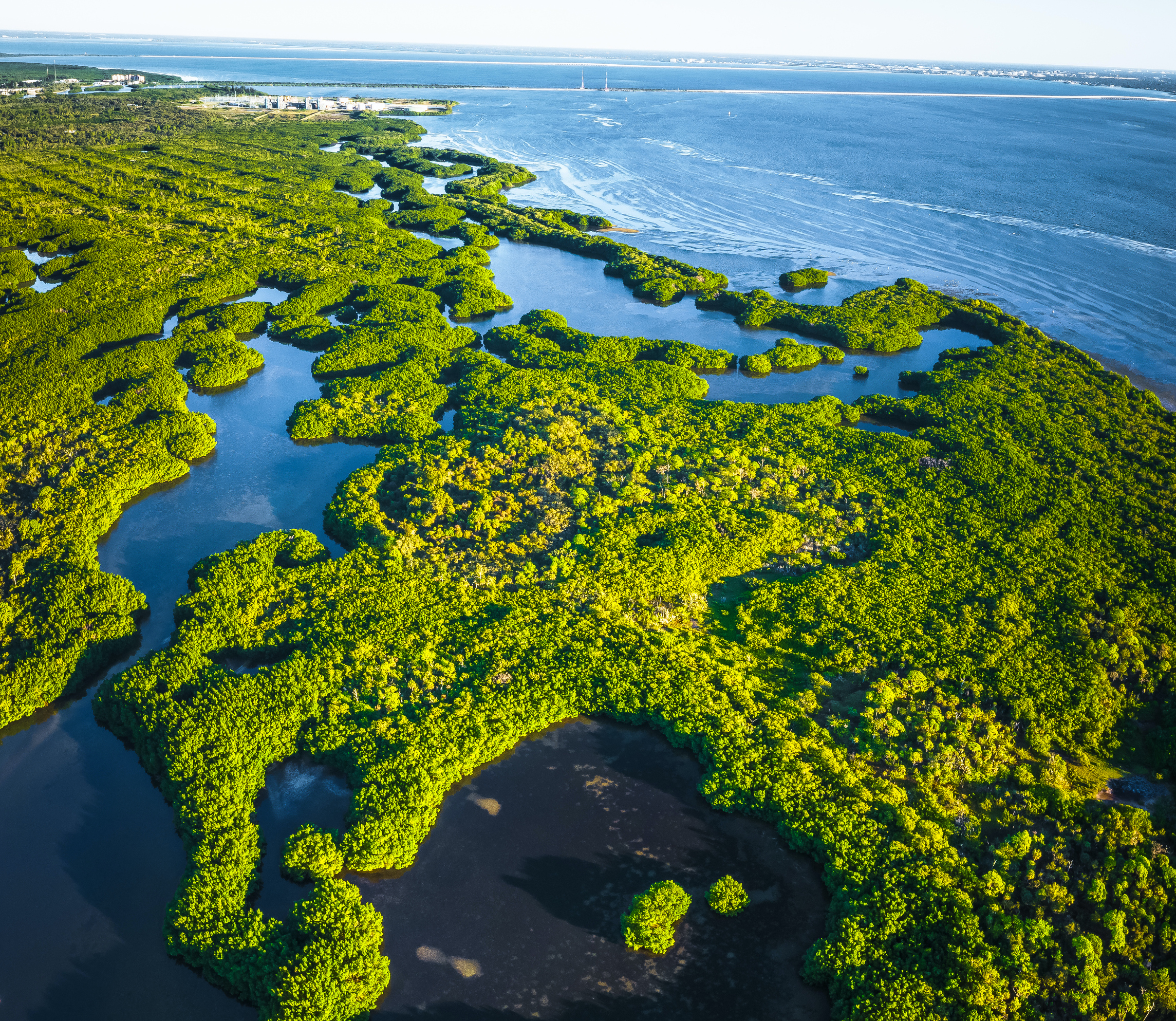 Durch die Mangrovenwälder kann man auch mit einem Kajak paddeln. | Credit: iStock.com/Mitchell Kapoor