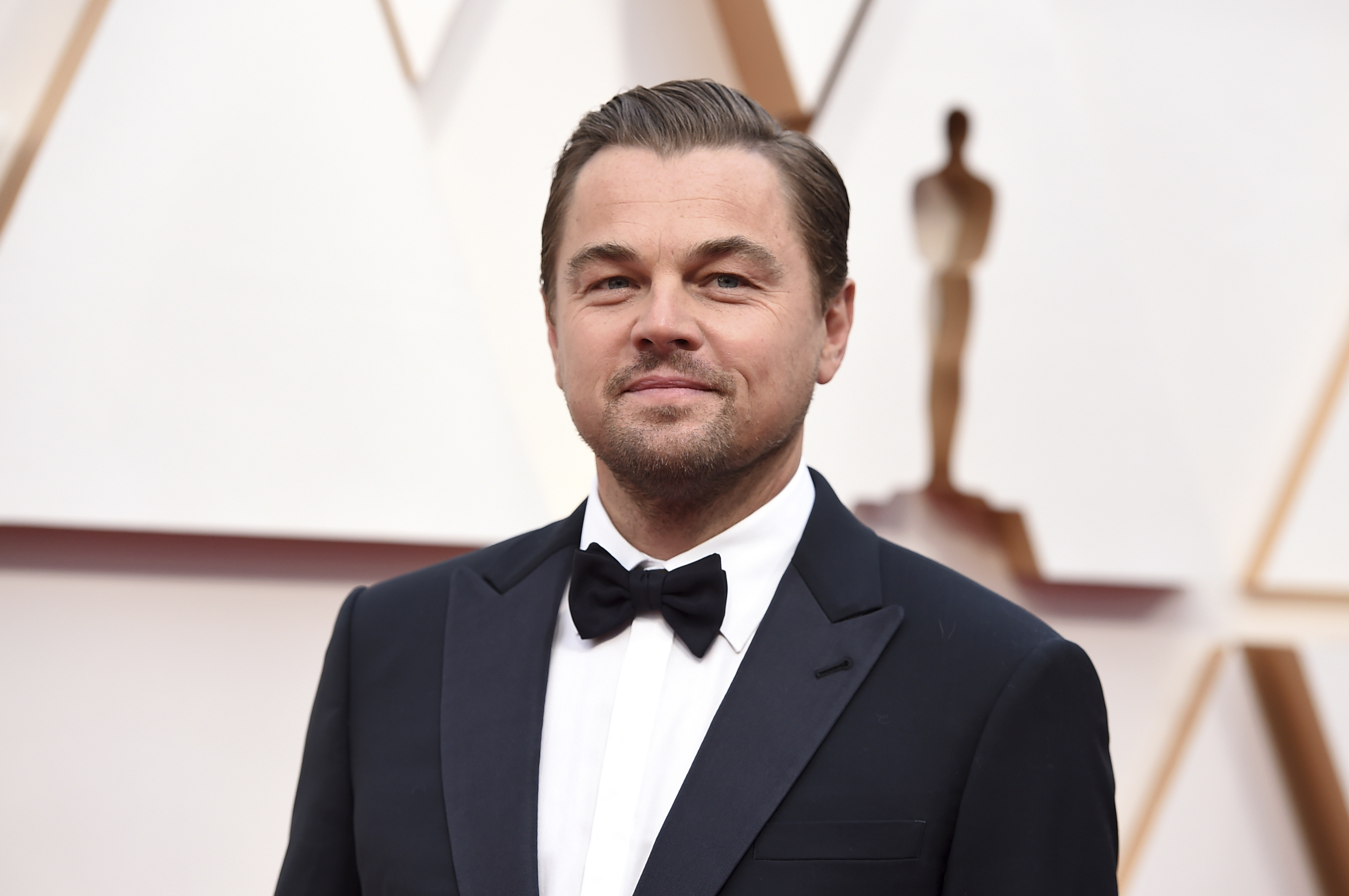 Schauspieler Leonardo DiCaprio