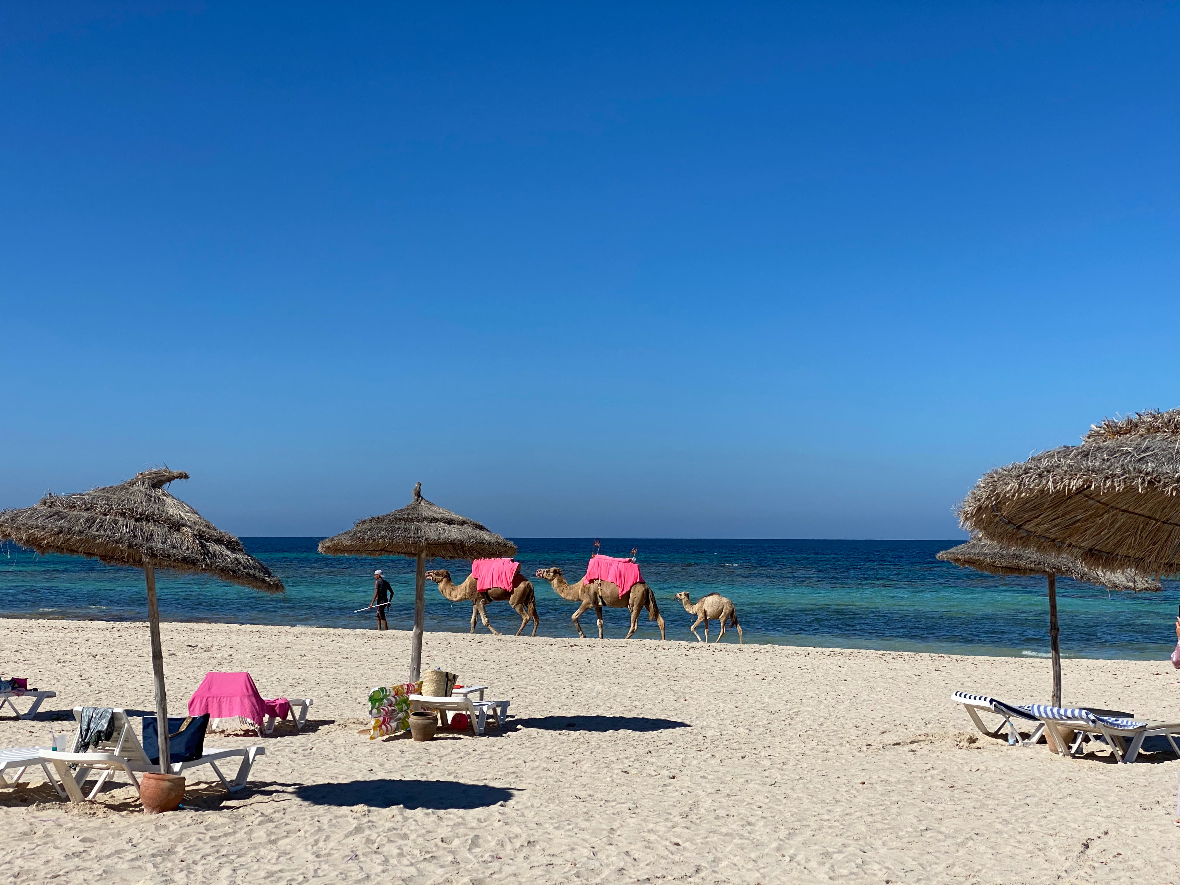 Djerba | Credit: Unsplash