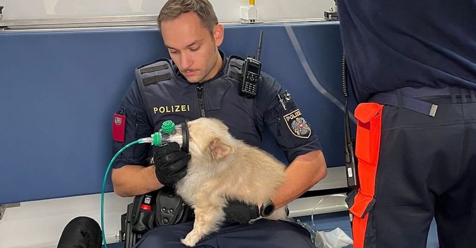 Polizist hat Hund mit Beatmungsgerät auf dem Schoß