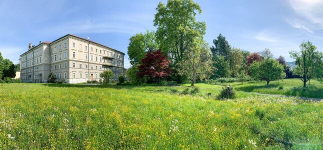 Bauprojekt Klosterpark