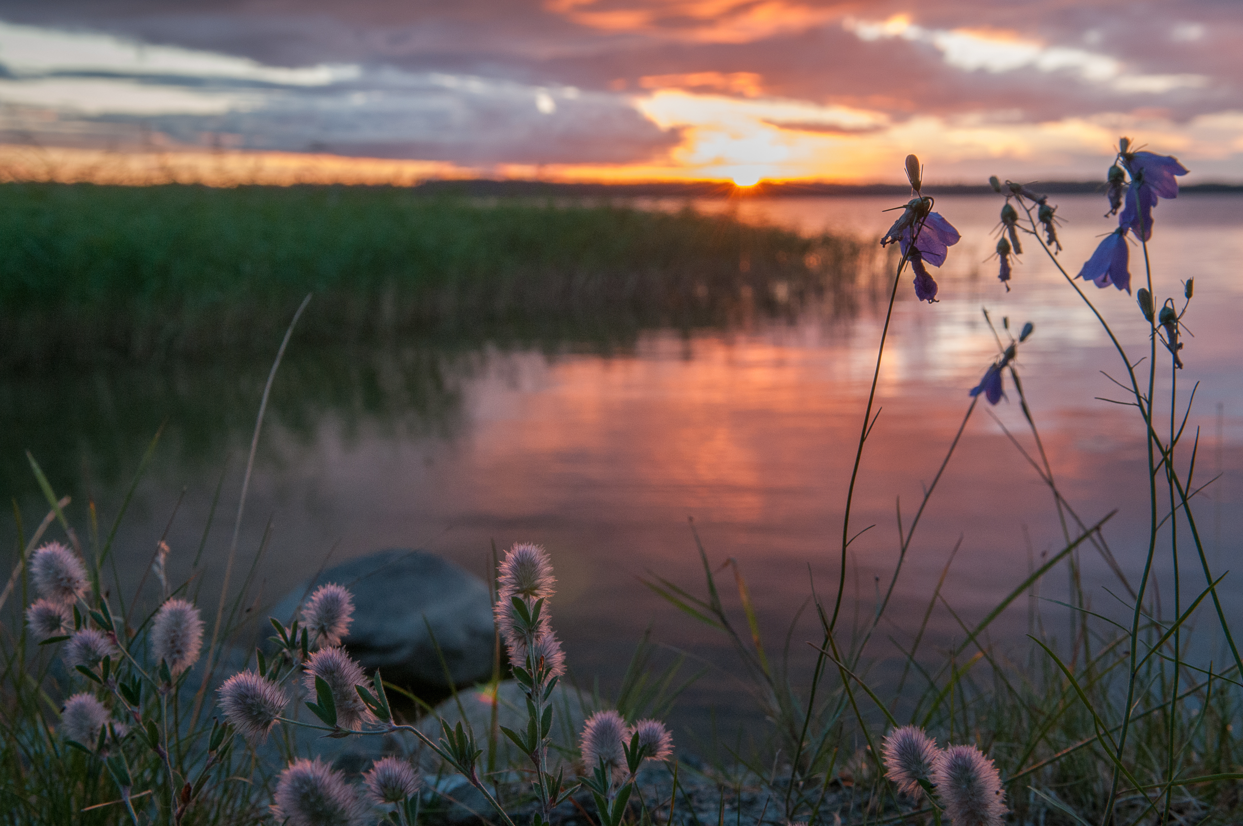 Vänern: Sonnenuntergang am Seeufer. | Credit: iStock.com/SteffenWalter