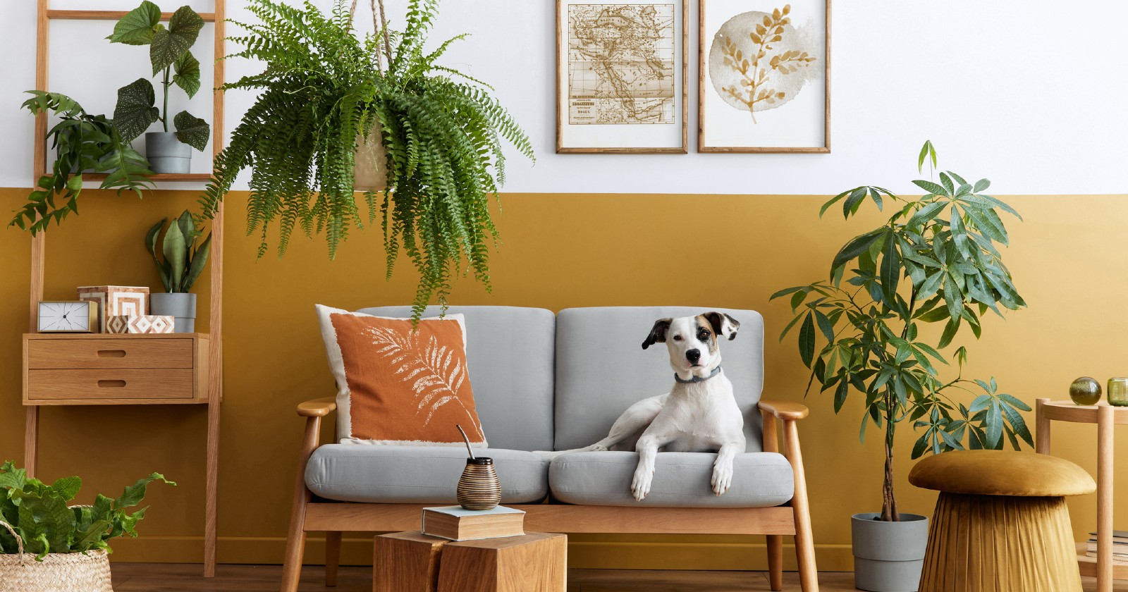 Sofa mit Hund und Pflanzen | Credit: iStock.com/FollowTheFlow