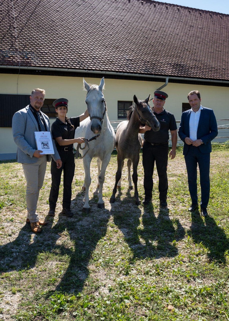 Landwirtschaftsminister Totschnig in Piber
