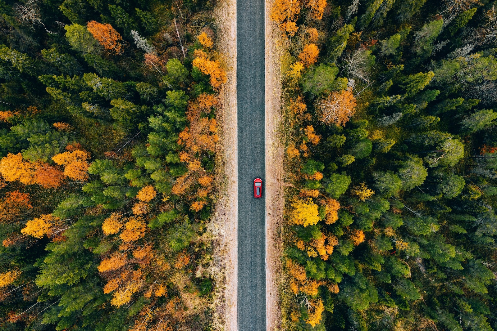 lappland | Credit: AdobeStock