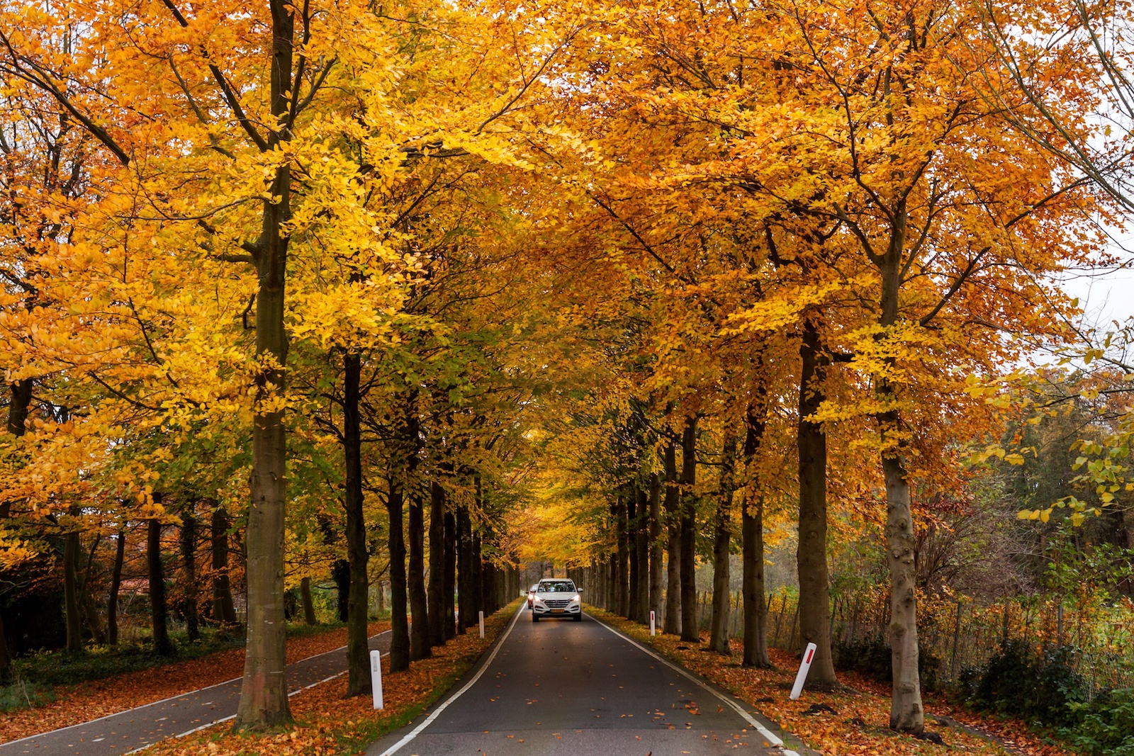 Holland | Credit: AdobeStock