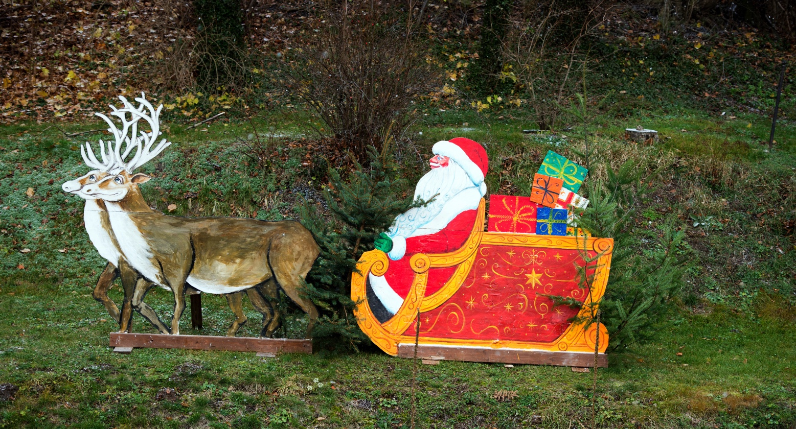 Weihnachtsschlitten-Deko auf grünem Gras. | Credit: Arno Burgi / dpa / picturedesk.com