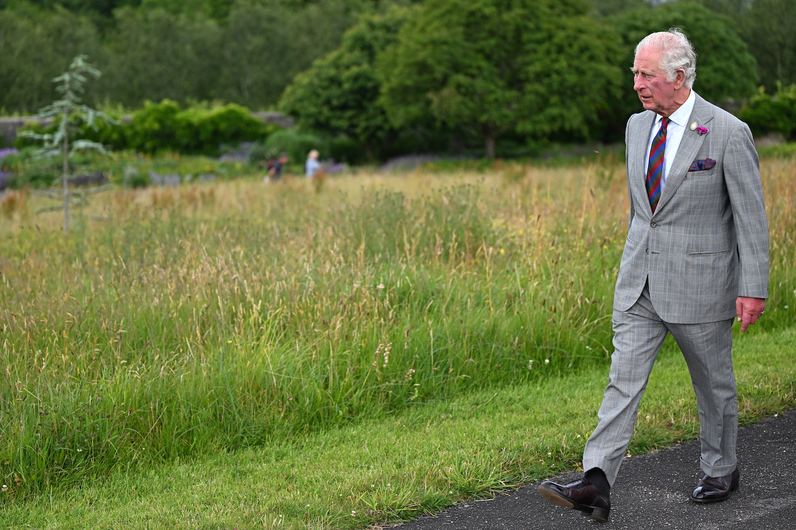 Schreitet auf einem Weg neben Wiese