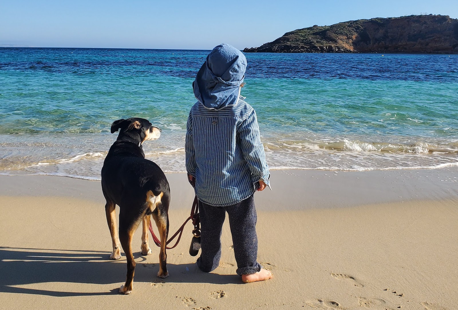Hund am Strand | Credit: fincallorca