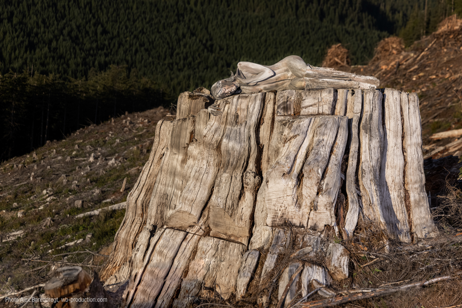 Frau mit Bodypainting in Camouflage-Technik auf einem Baumstamm