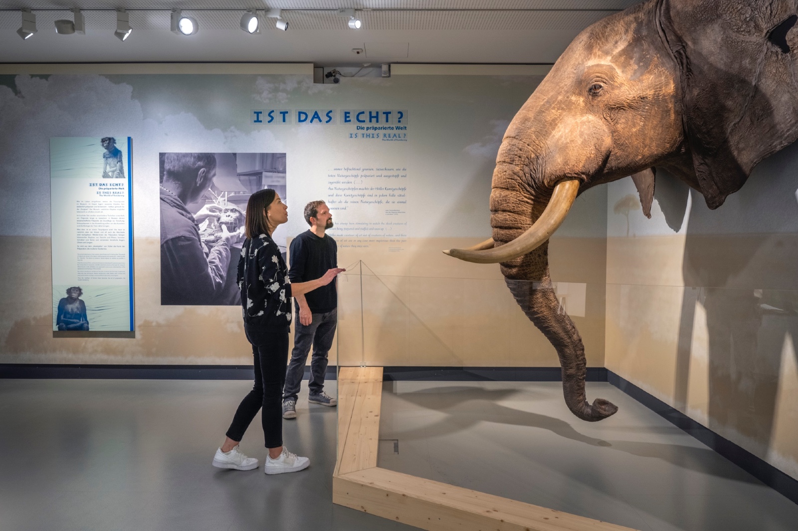 „Die Welt der Präparte“ | Credit: Haus der Natur/Caputo