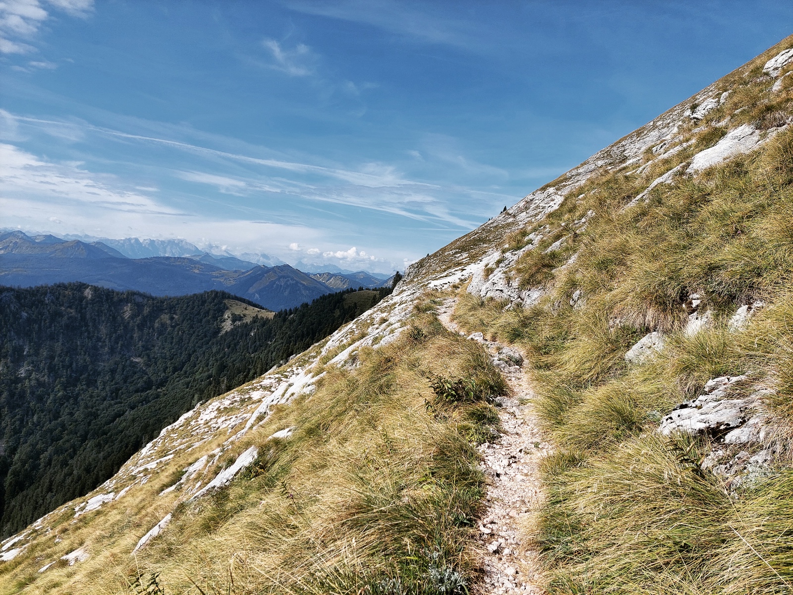 Wiesenweg nach dem Purtschellersteig | Credit: Simone Reitmeier