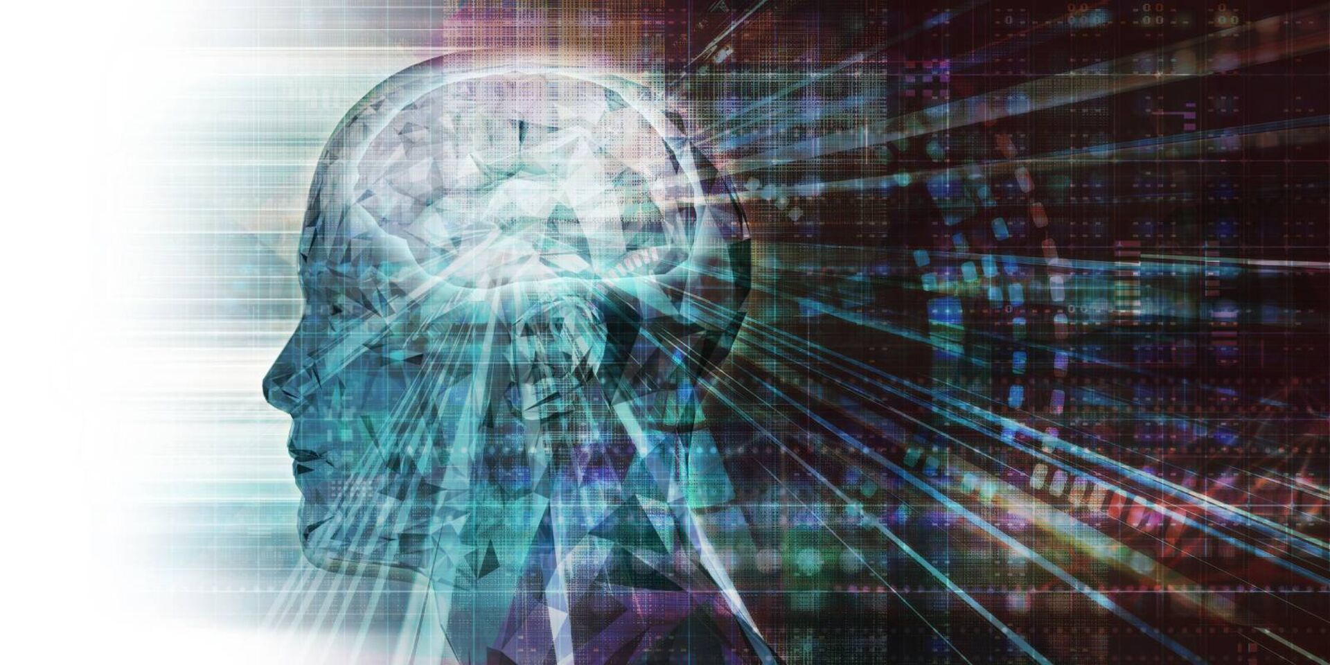 Das menschliche Gehirn | Credit: iStock.com/kentoh