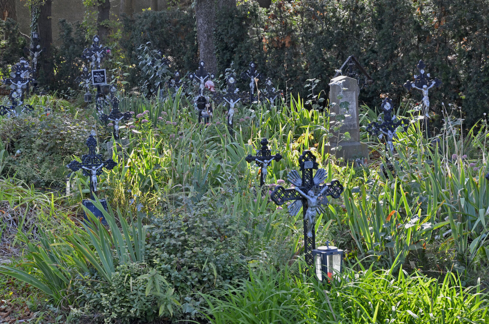 Gräber am Friedhof der Namenlosen | Credit: Willfried Gredler-Oxenbauer / picturedesk.com