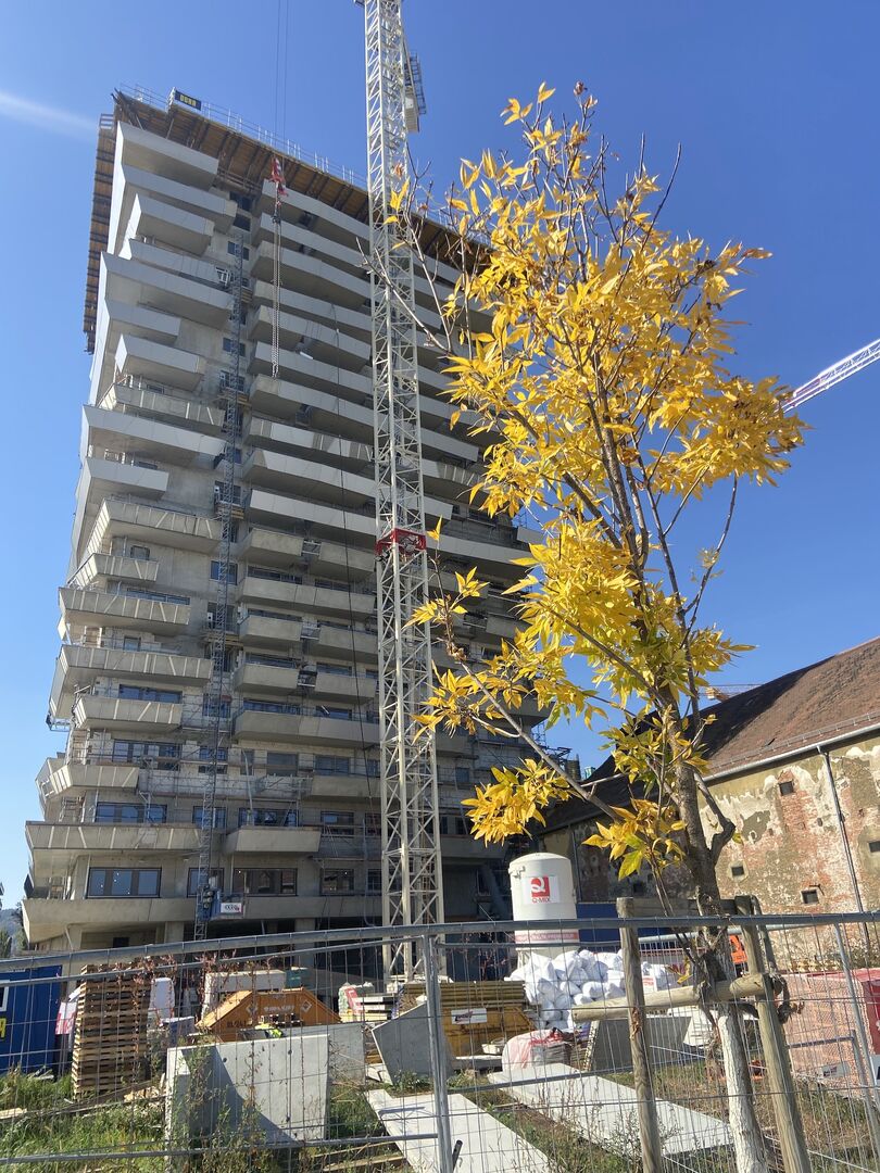 Fertigstellung des 19. Stockwerks des Green Towers in Reininghaus