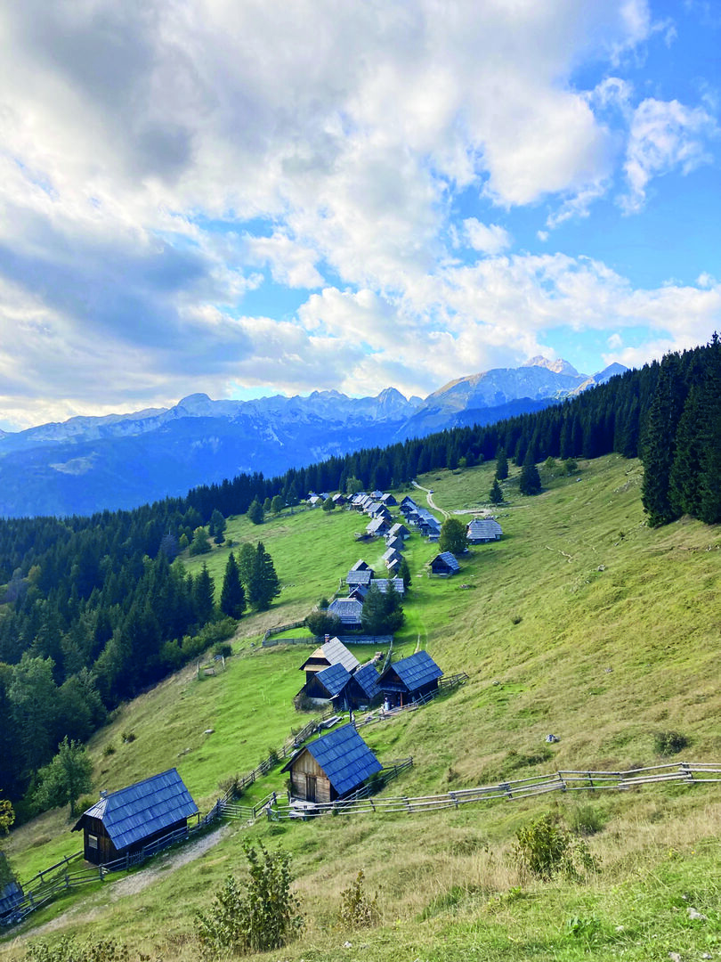 Hirtendorf auf der Alm Zajamniki