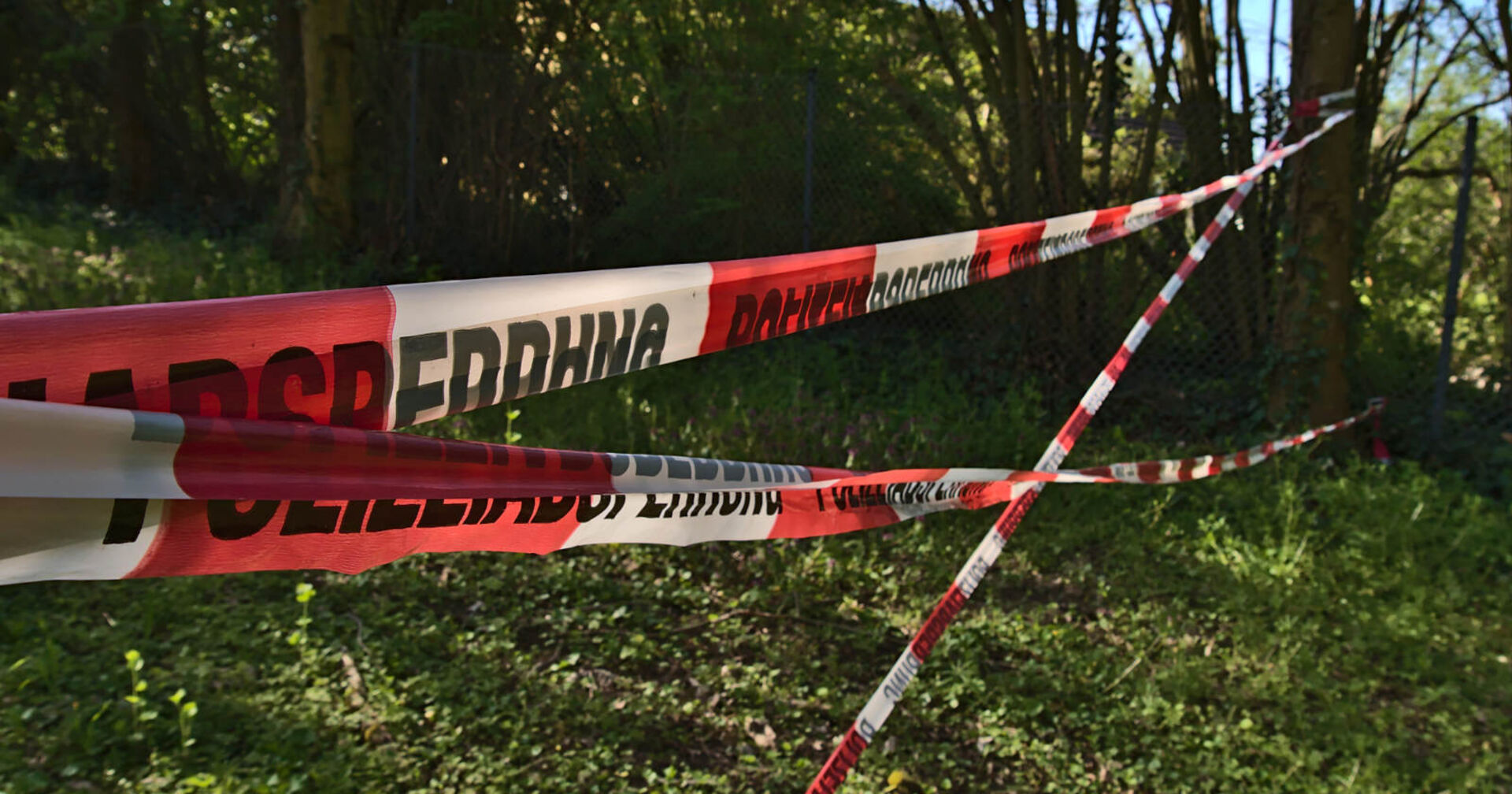 Polizeiabsperrung bei Bäumen