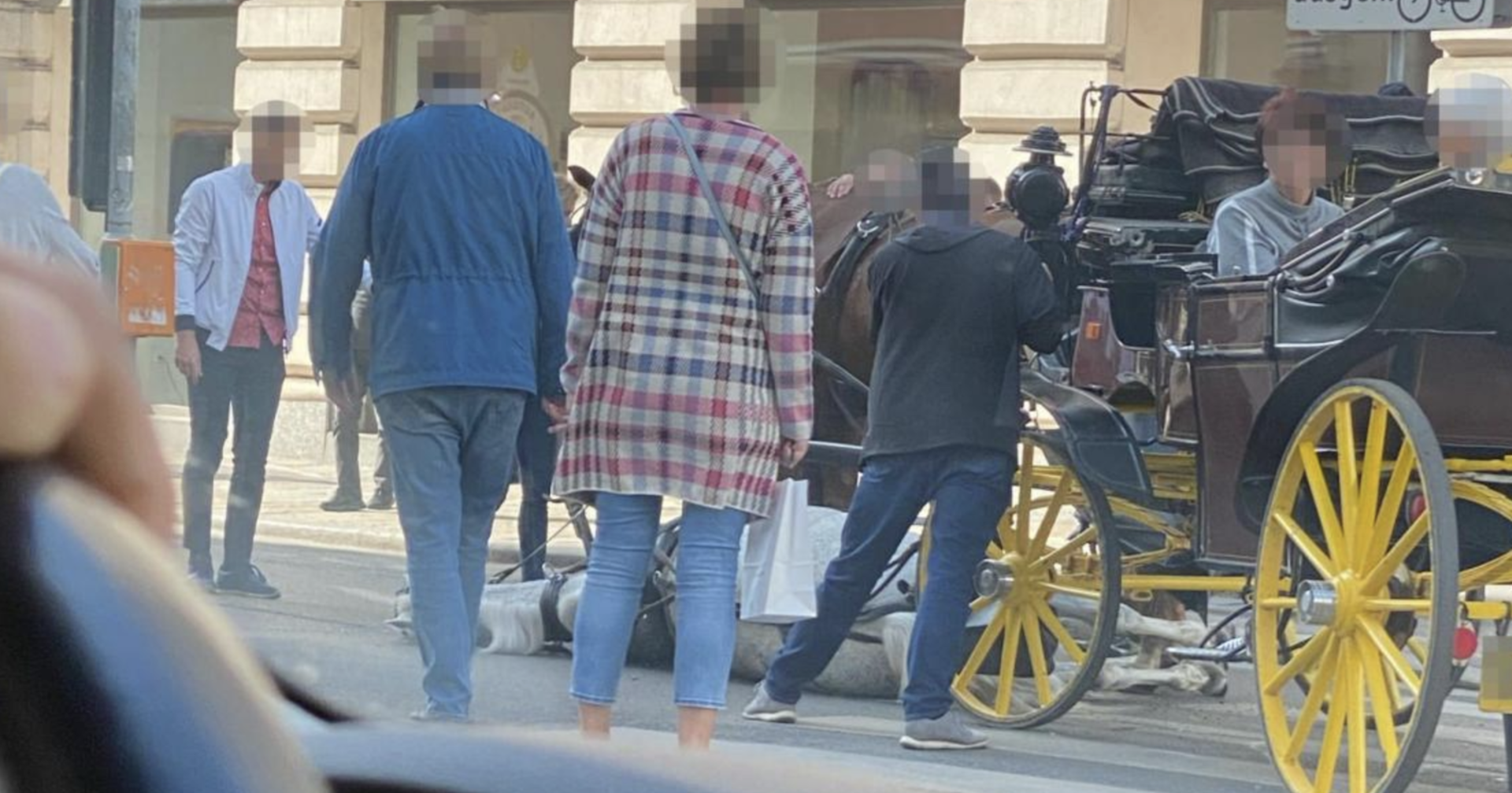 Pferd liegt auf der Straße | Credit: VGT