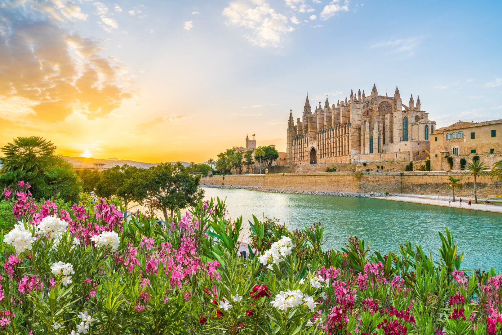 Palma | Credit: iStock.com/Balate Dorin