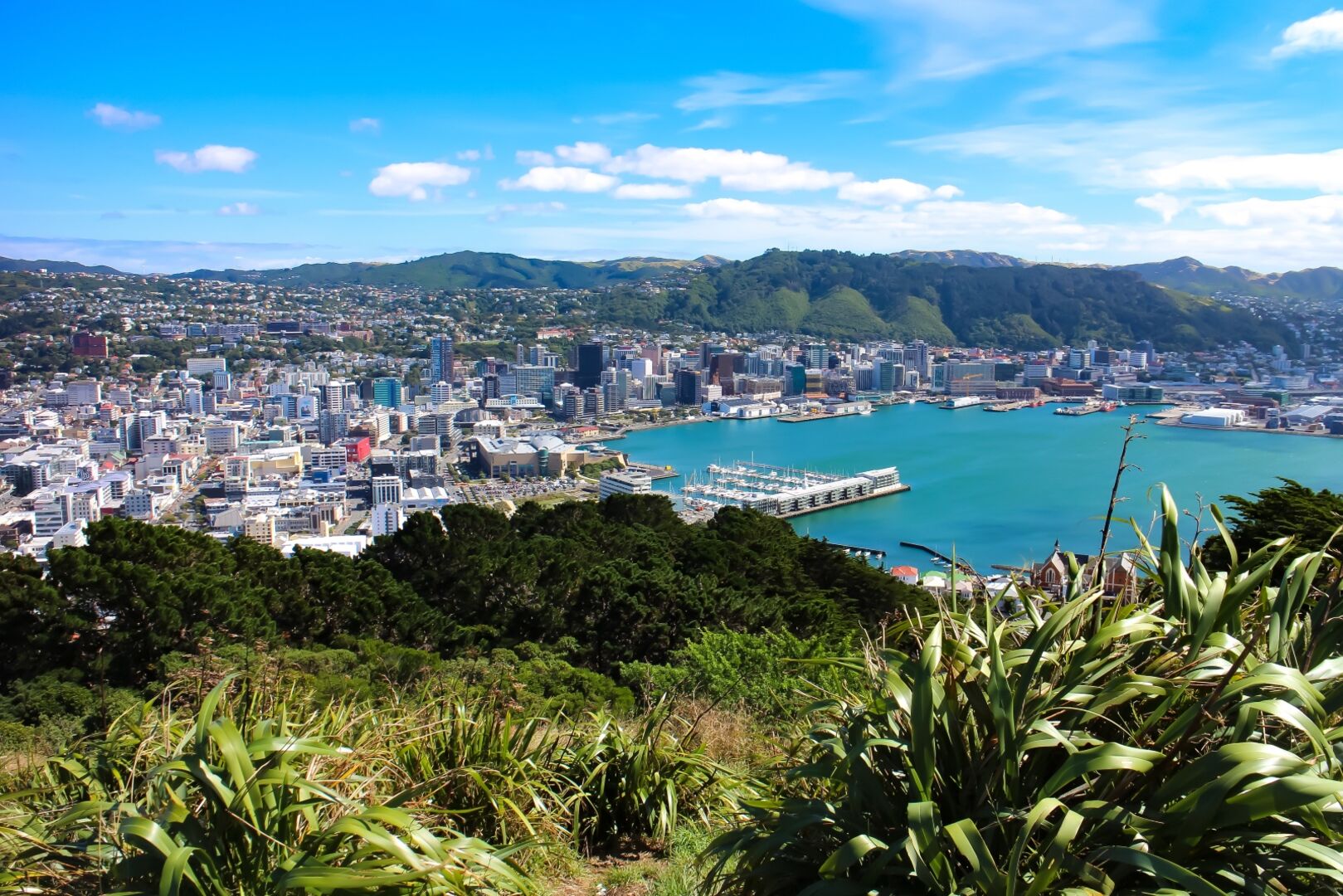 Stadtansicht: Wellington, Neuseelands Hauptstadt | Credit: iStock.com/ Sybille Reuter