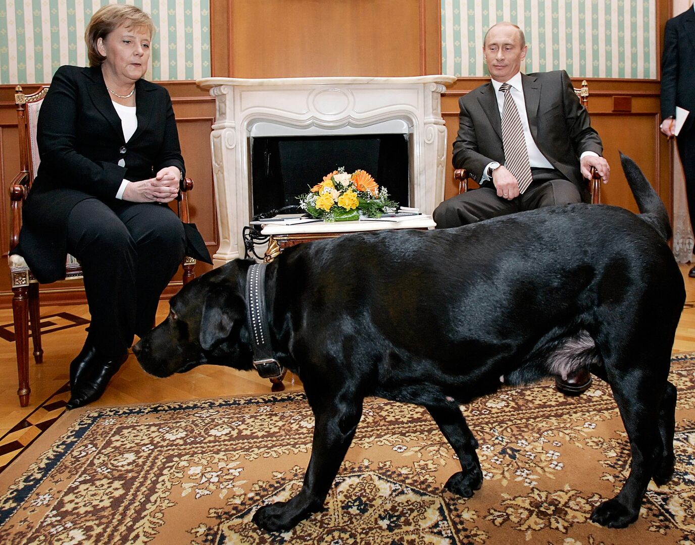 Ein großer schwarzer Hund, dahinter sitzen Angela Merkel und Wladimir Putin. Die deutsche Staatschefin sieht ängstlich, Putin stolz drein.