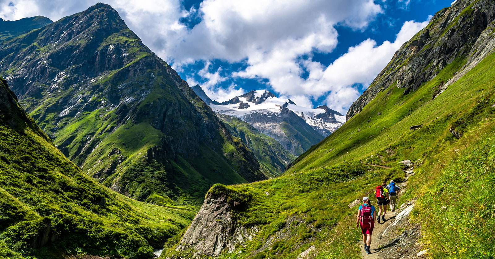 Wanderer-Gruppe unterwegs in den Tiroler Bergen | Credit: iStock.com/grafxart8888