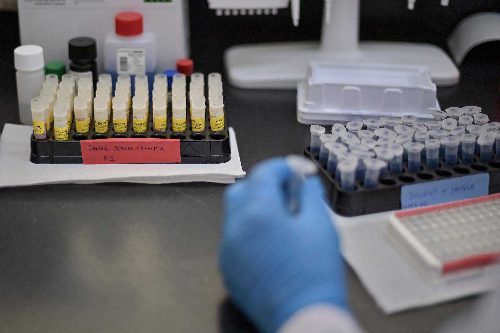 Arbeitsplatz in einem Labor. | Credit: TONY KARUMBA / AFP / picturedesk.com