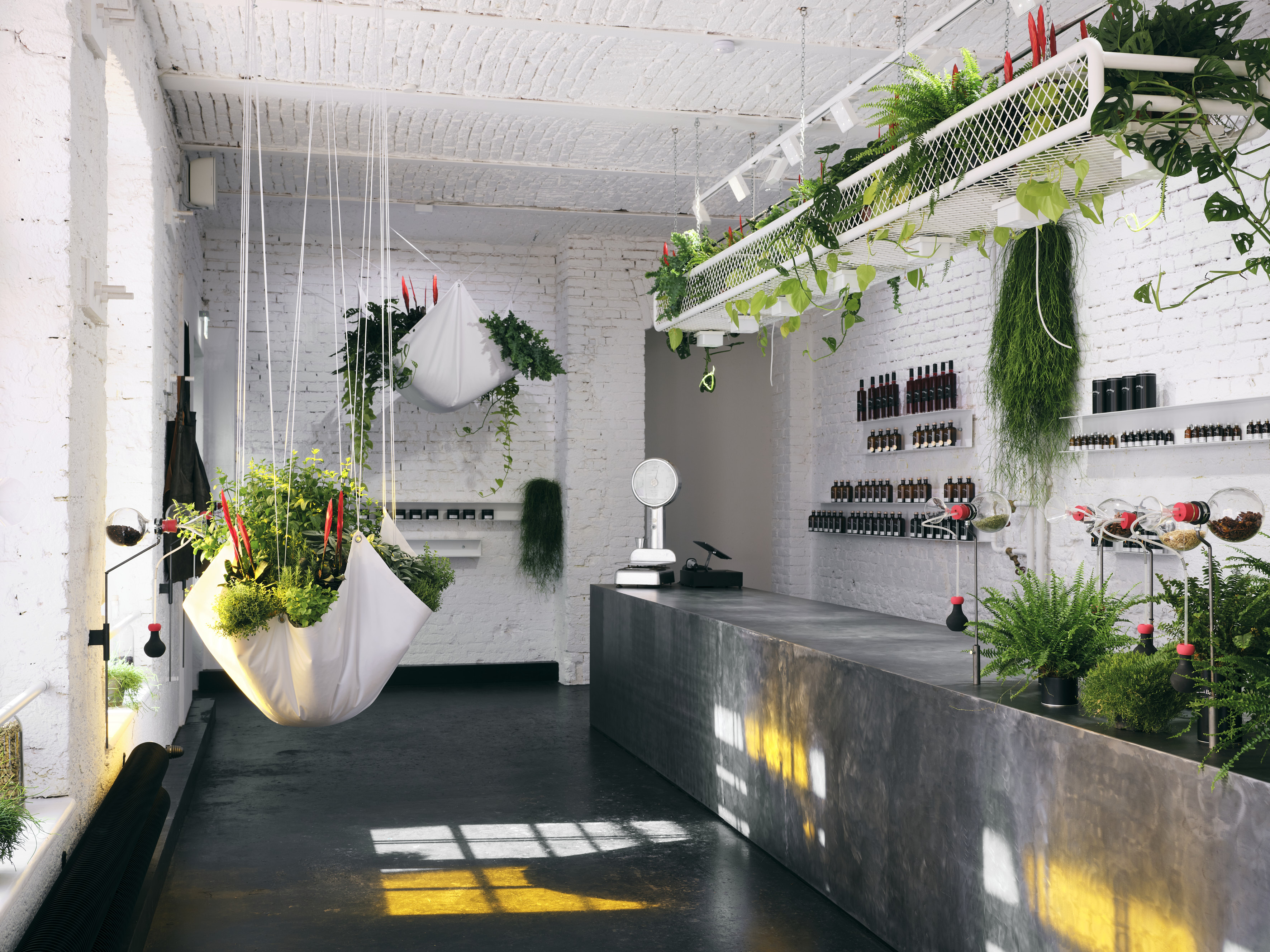 Gewürzladen mit hängenden Pflanzen