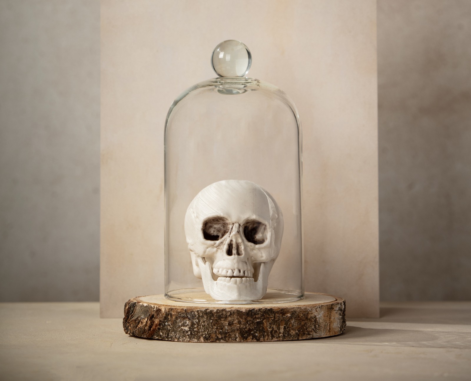 Totenkopf steckt in einer Glashaube | Credit: iStock.com/klenova