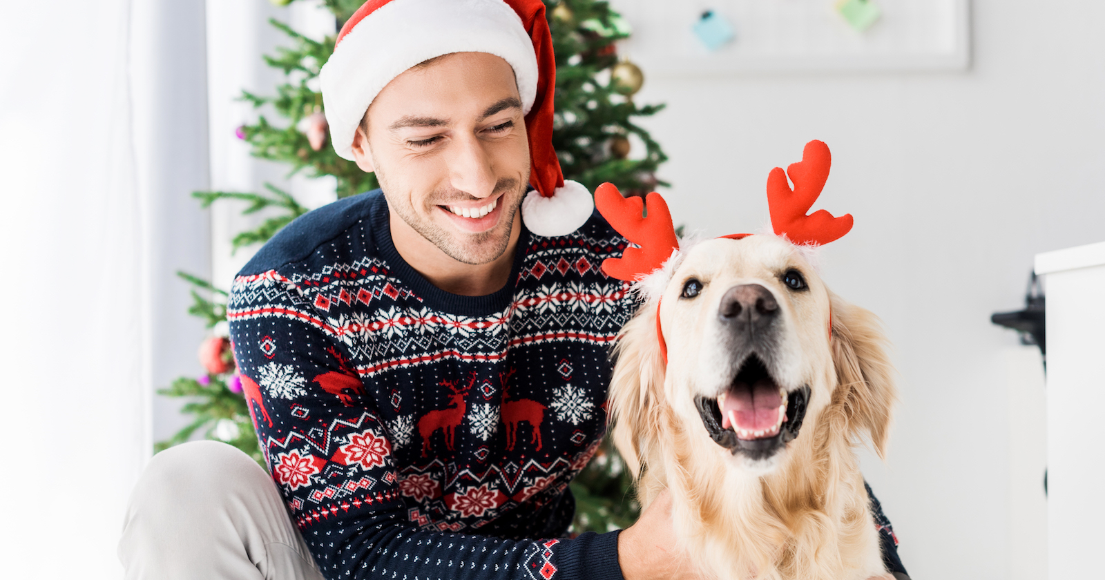 Herrchen und Hund sitzen vorm Christbaum | Credit: iStock.com/LightFieldStudios