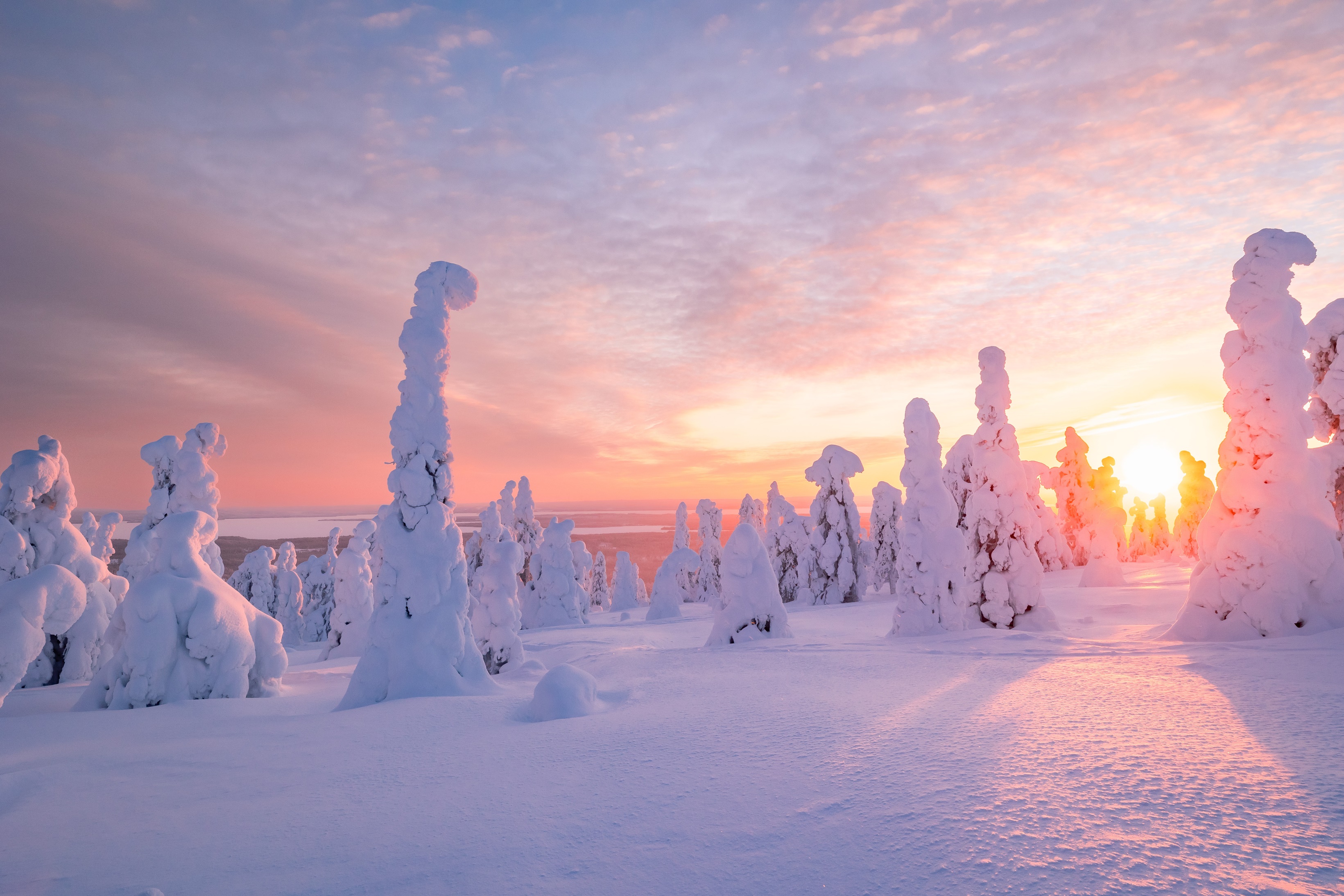 Winter im schwedischen Lappland. | Credit: Adobe Stock