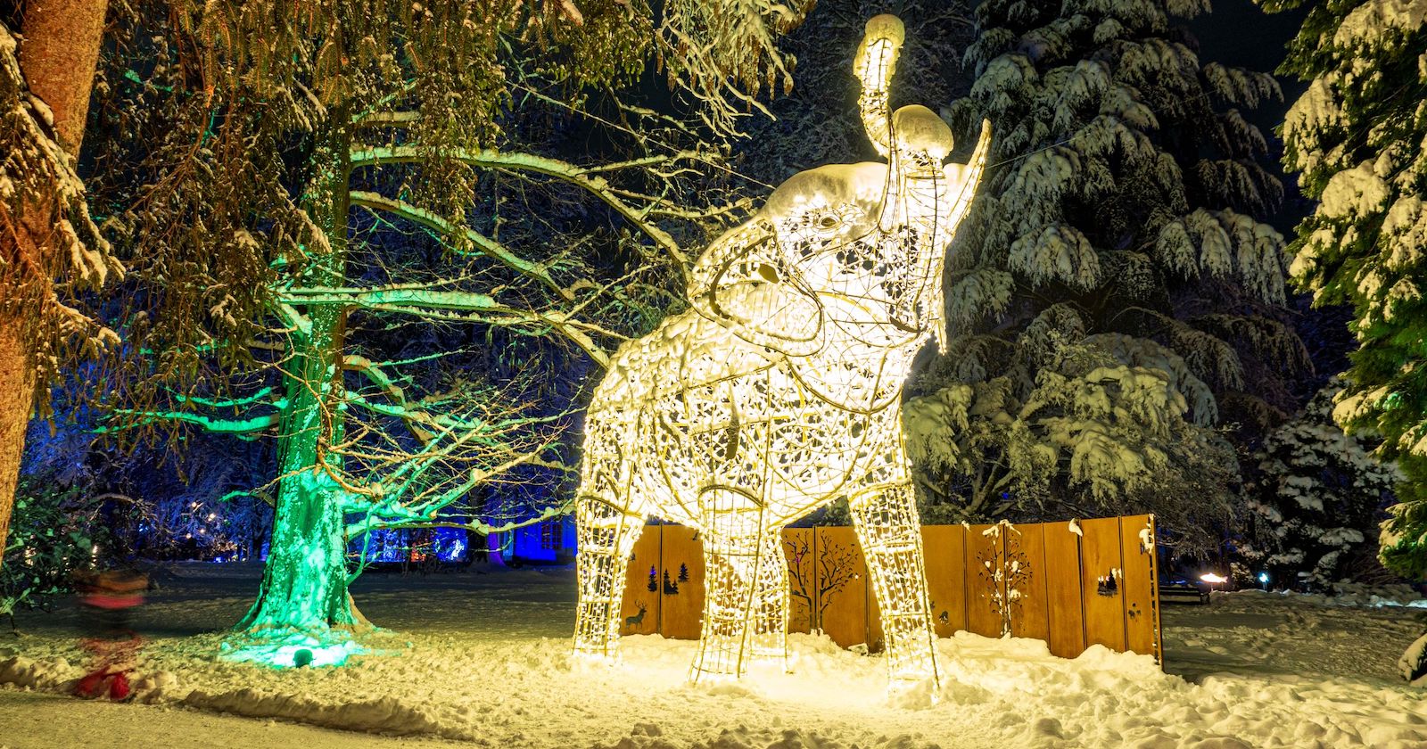 Lichterelefant im Schnee | Credit: Lugmagica