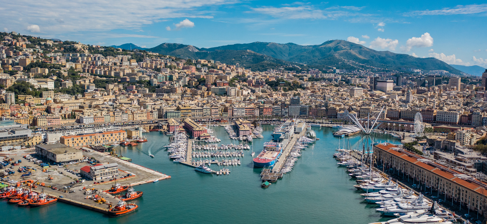 Credit: iStockphoto.com/Medvedkov