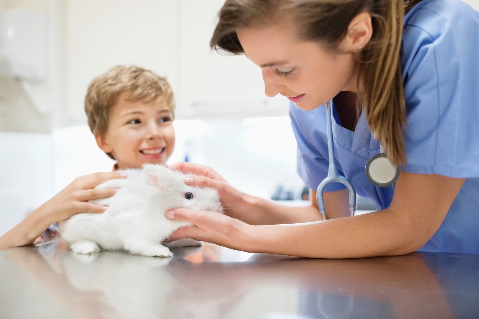 Ein kleiner Junge ist mit seinem Kaninchen bei der Tierärztin | Credit: iStock.com/Robert Daly