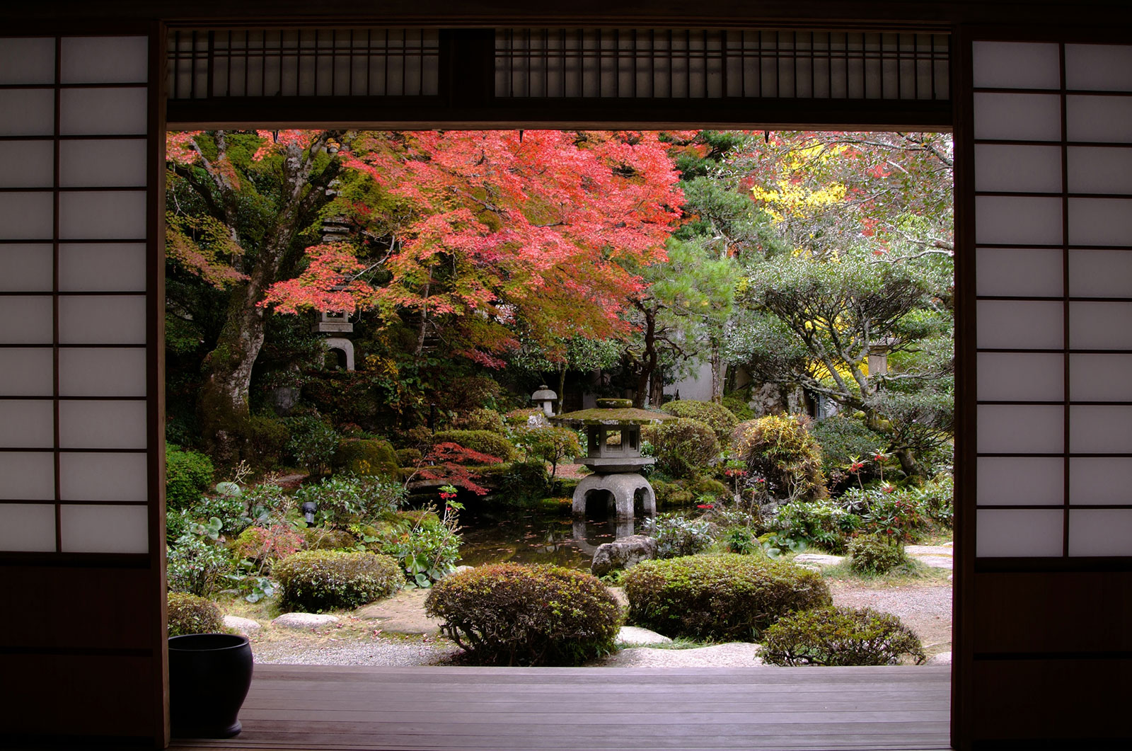 Japanischer Zen-Garten im Herbst | Credit: iStock.com/gyro