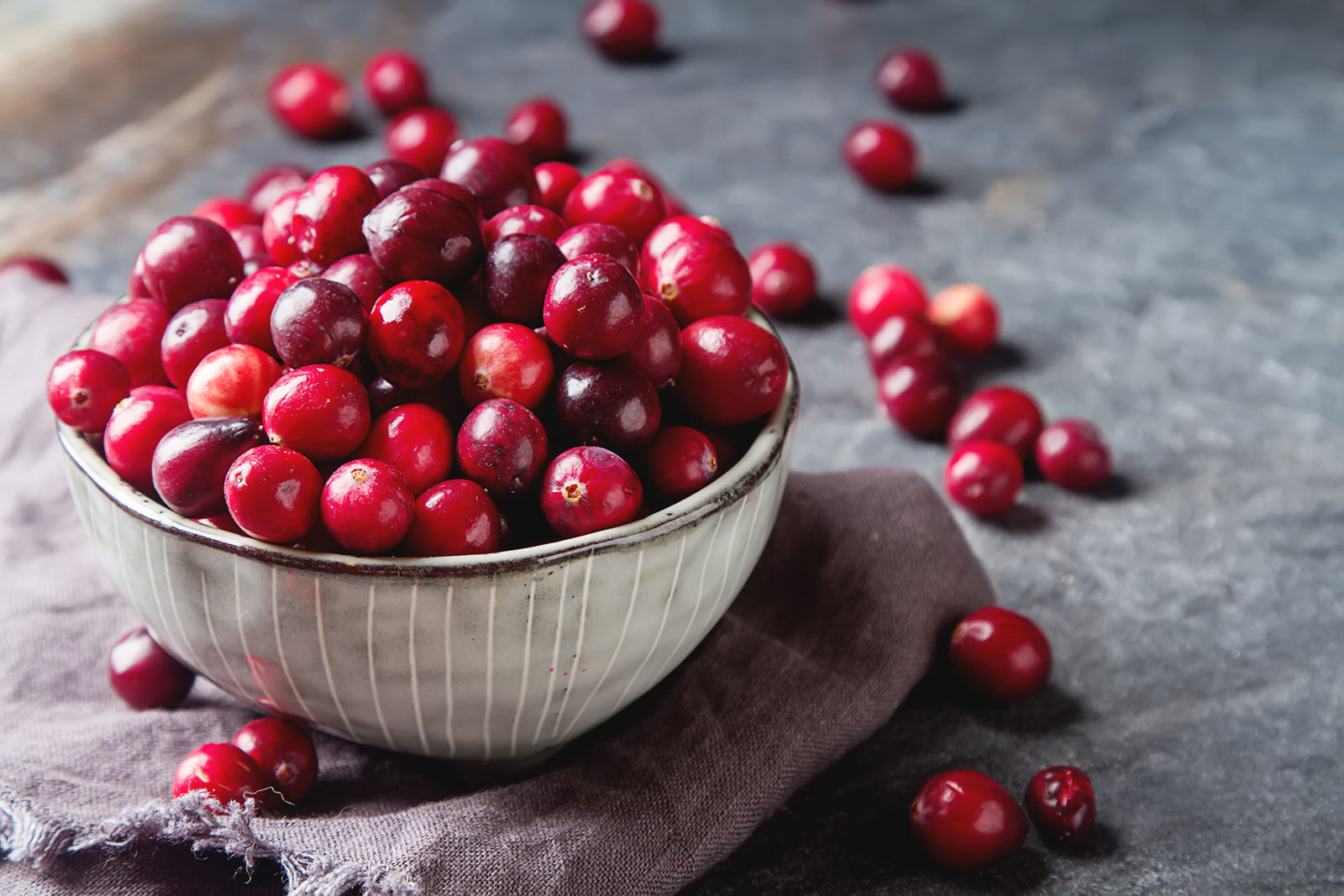 Eine Schale Preiselbeeren | Credit: iStock.com/gaus-nataliya