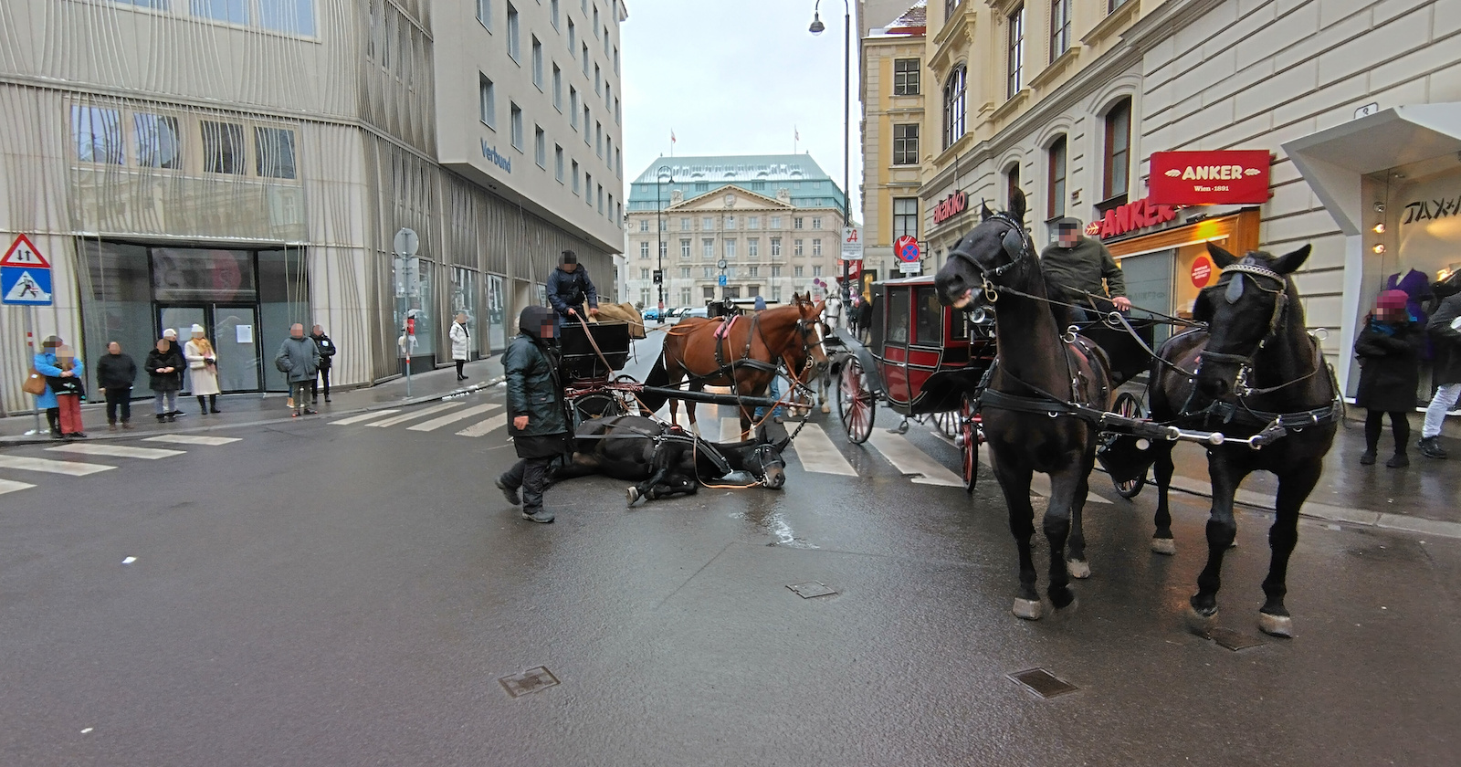 Schwarzes Fiaker-Pferd liegt in Wiener Innenstadt auf der StraßE | Credit: privat