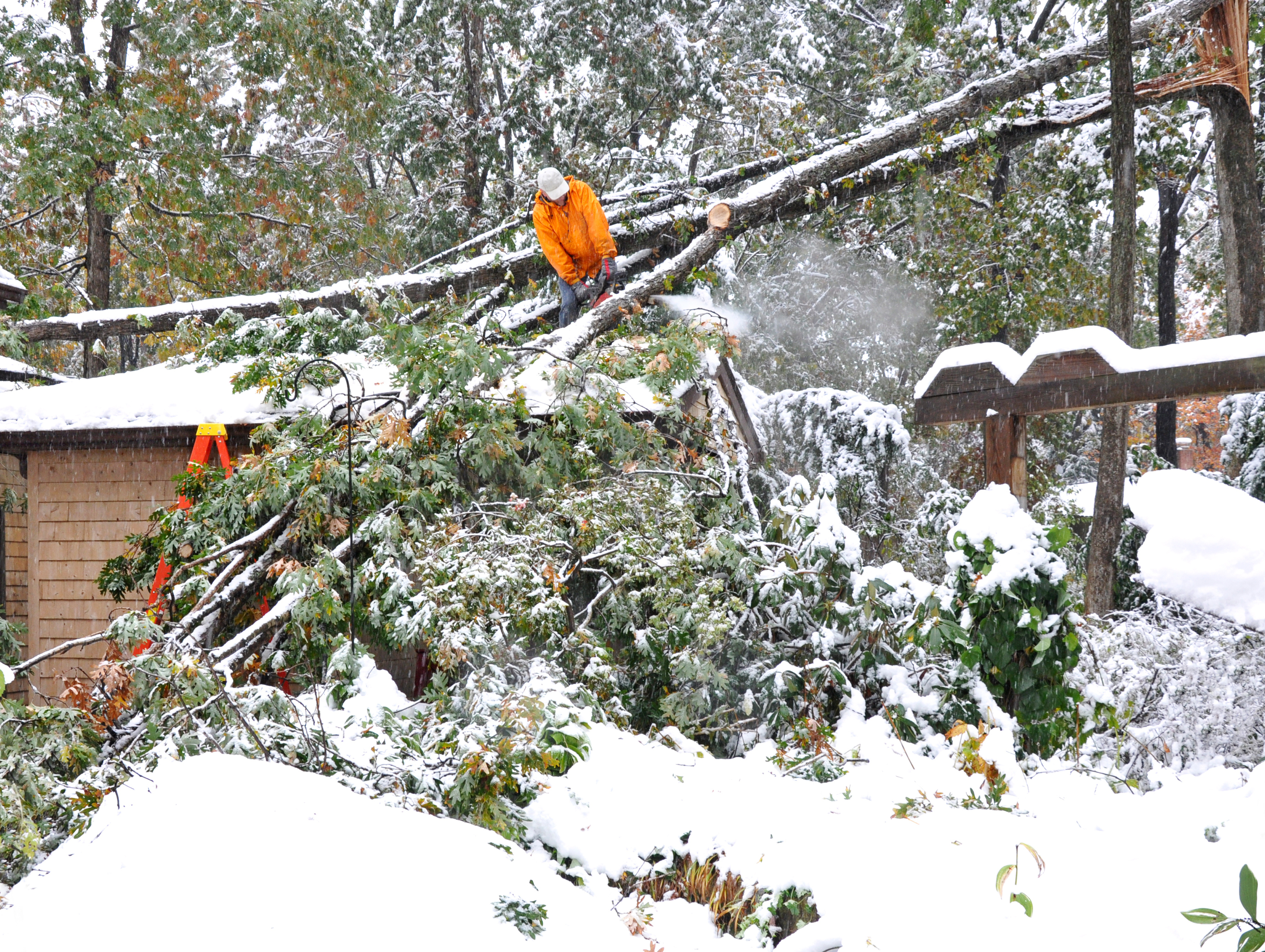 Schneeschäden am Dach von umgefallenen Baum