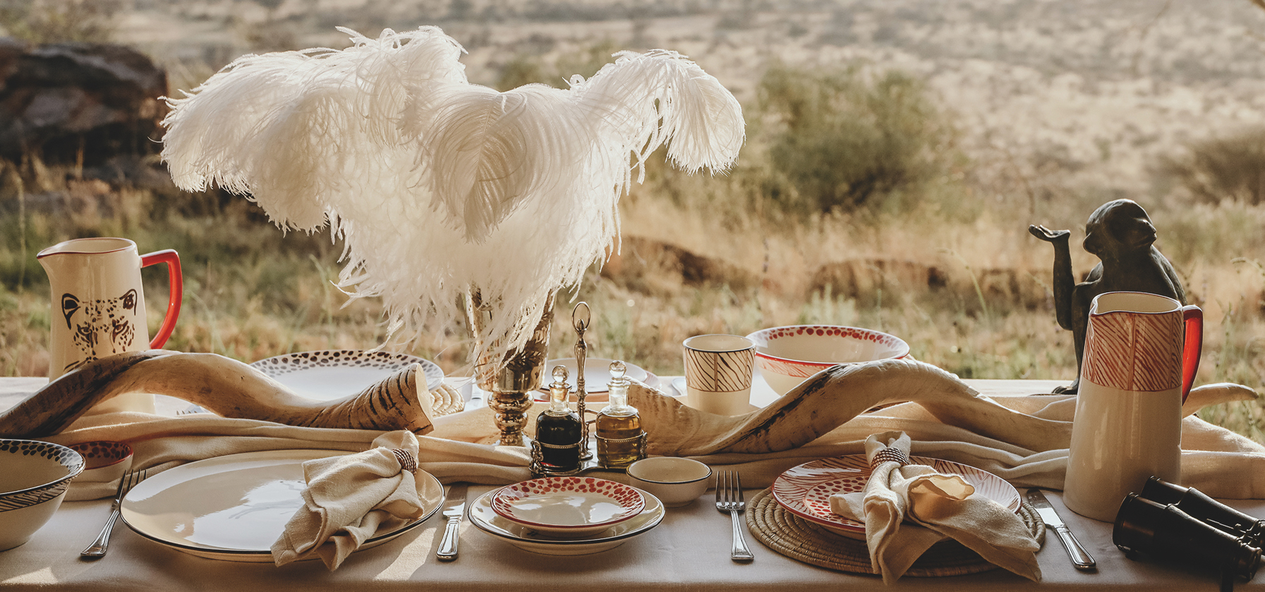 Gedeckter Tisch vor Savanne