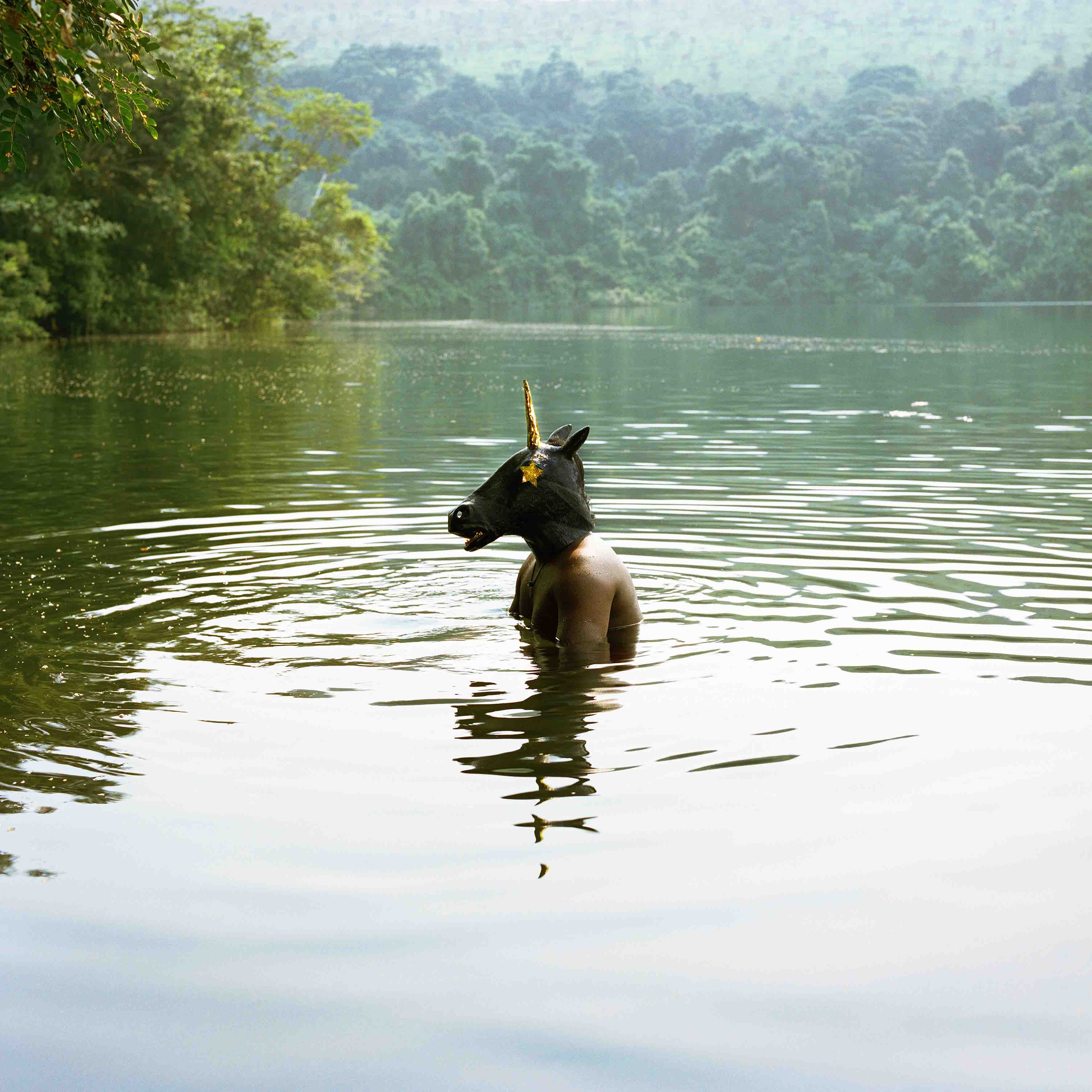 Verena Prenner, &quot;Black Unicorn&quot;, 2020, 60x60, Fotografie/Fine Print auf Aludibond kaschiert