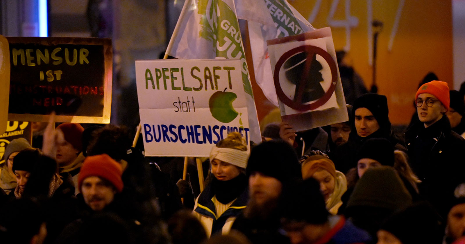 Demonstranten gegen den Wiener Akademikerball