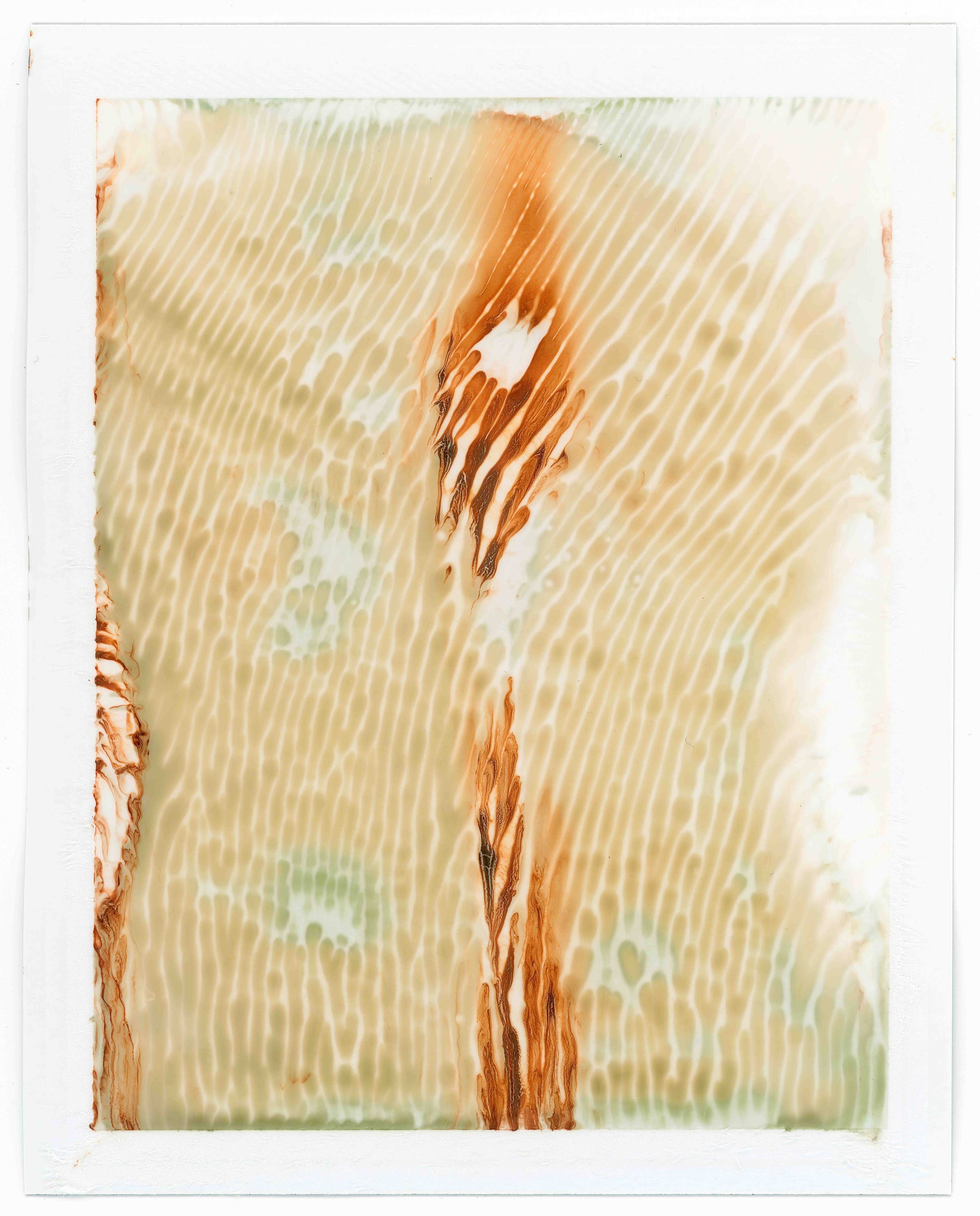 Roland Froschauer, &quot;expired and exposed I&quot;, 2022, 132x105, Fotografie/Fine Art Print auf Büttenkarton