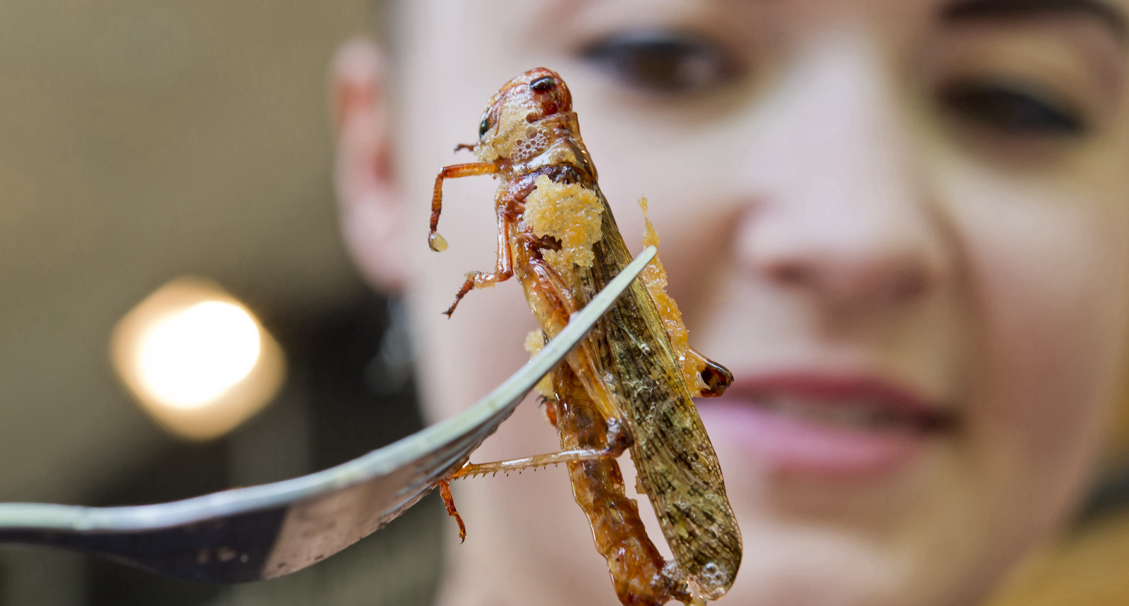 Gebratene Grille auf Gabel