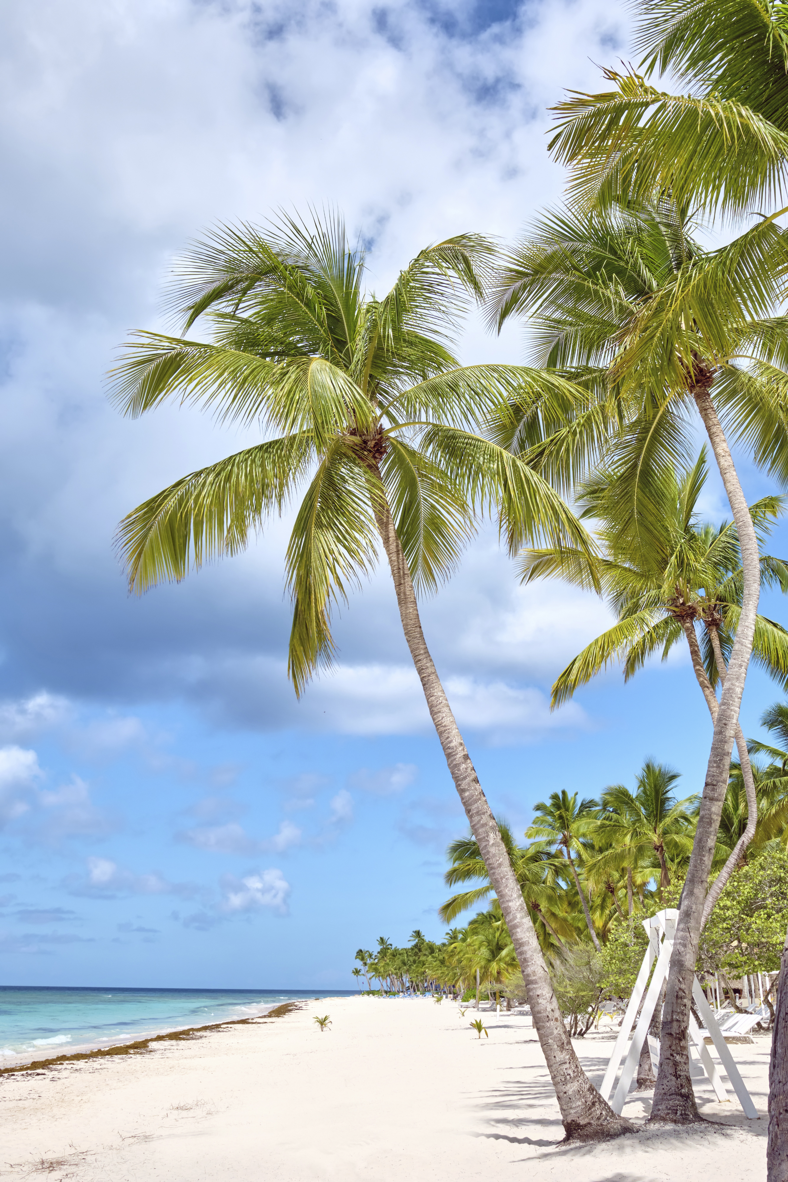 Insel Saona in der Dominikanischen Republik.