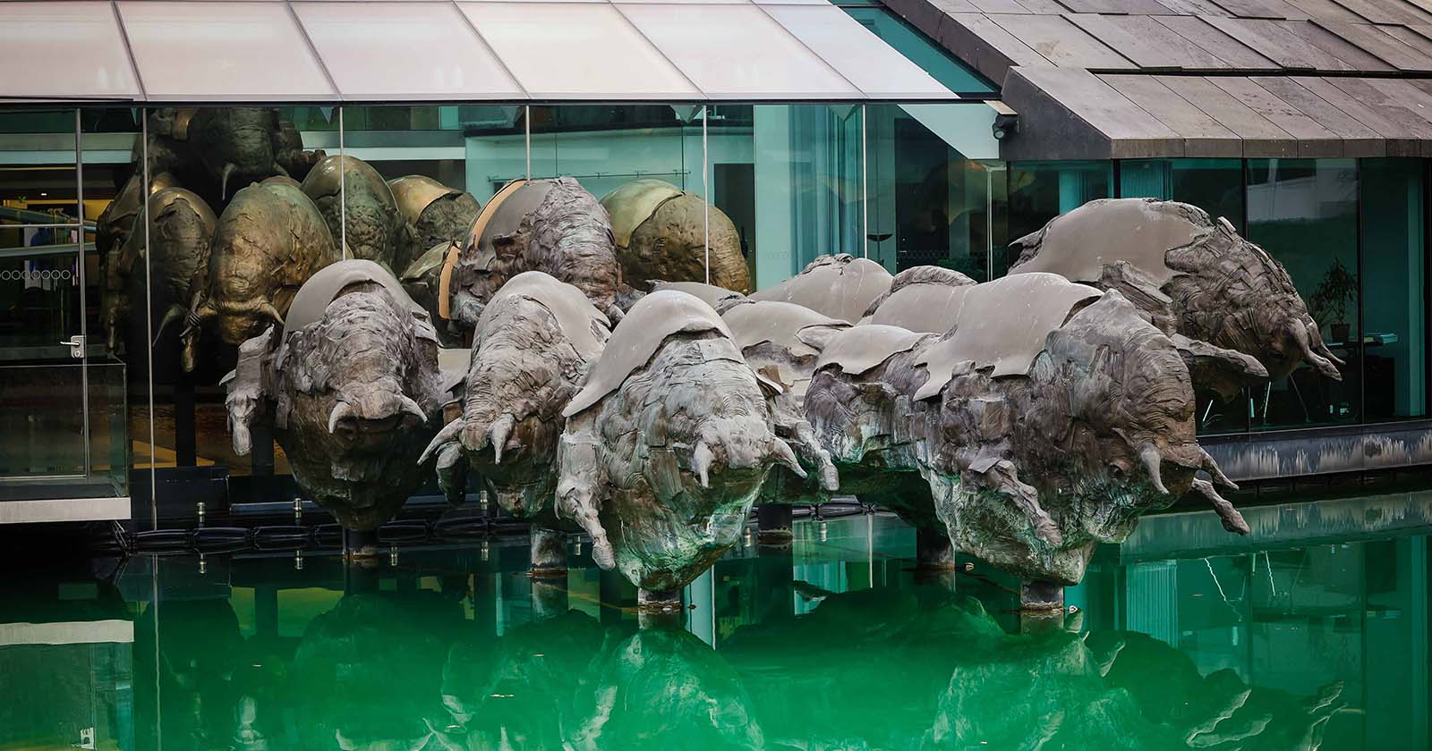 Die berühmte Bullenherde am Haupsitz des Getränkeherstellers Red Bull