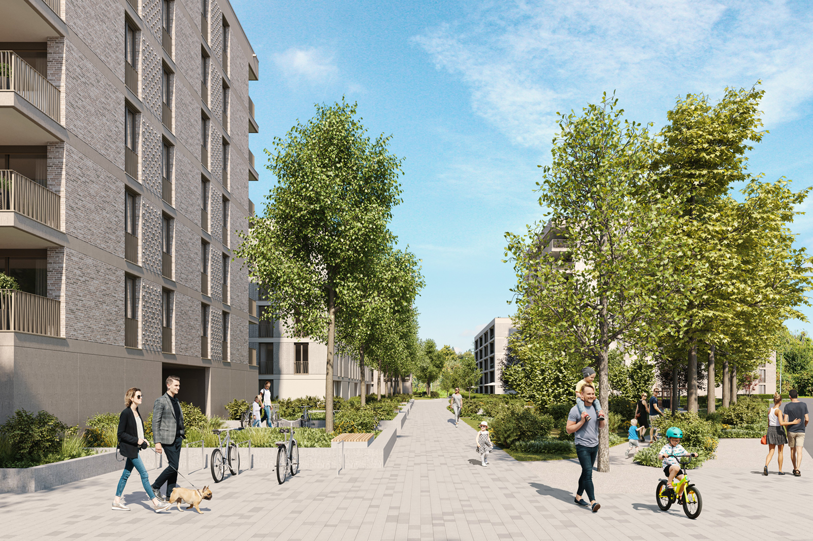 Mehr als die Hälfte des Vierlinden-Quartiers wird zu Grünraum und erhält ein öffentliches Wegenetz.