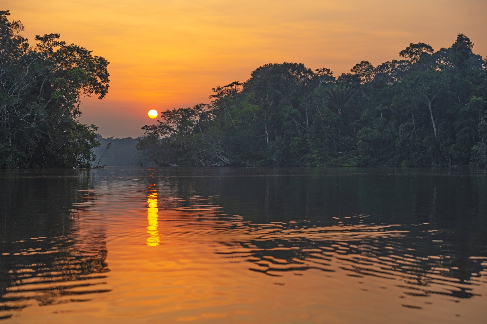 Der Amazonas Regenwald bei Sonnenuntergang | Credit: iStock.com/SL_Photography