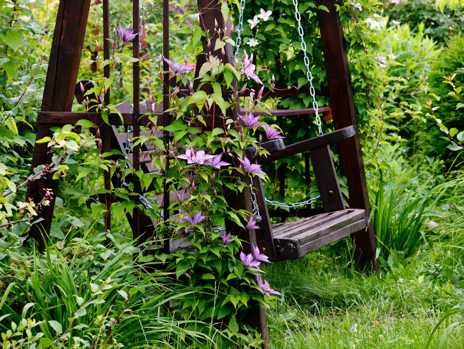Eine Holzschaukel steht in einem Hobbit-Garten | Credit: iStock.com/liseykina