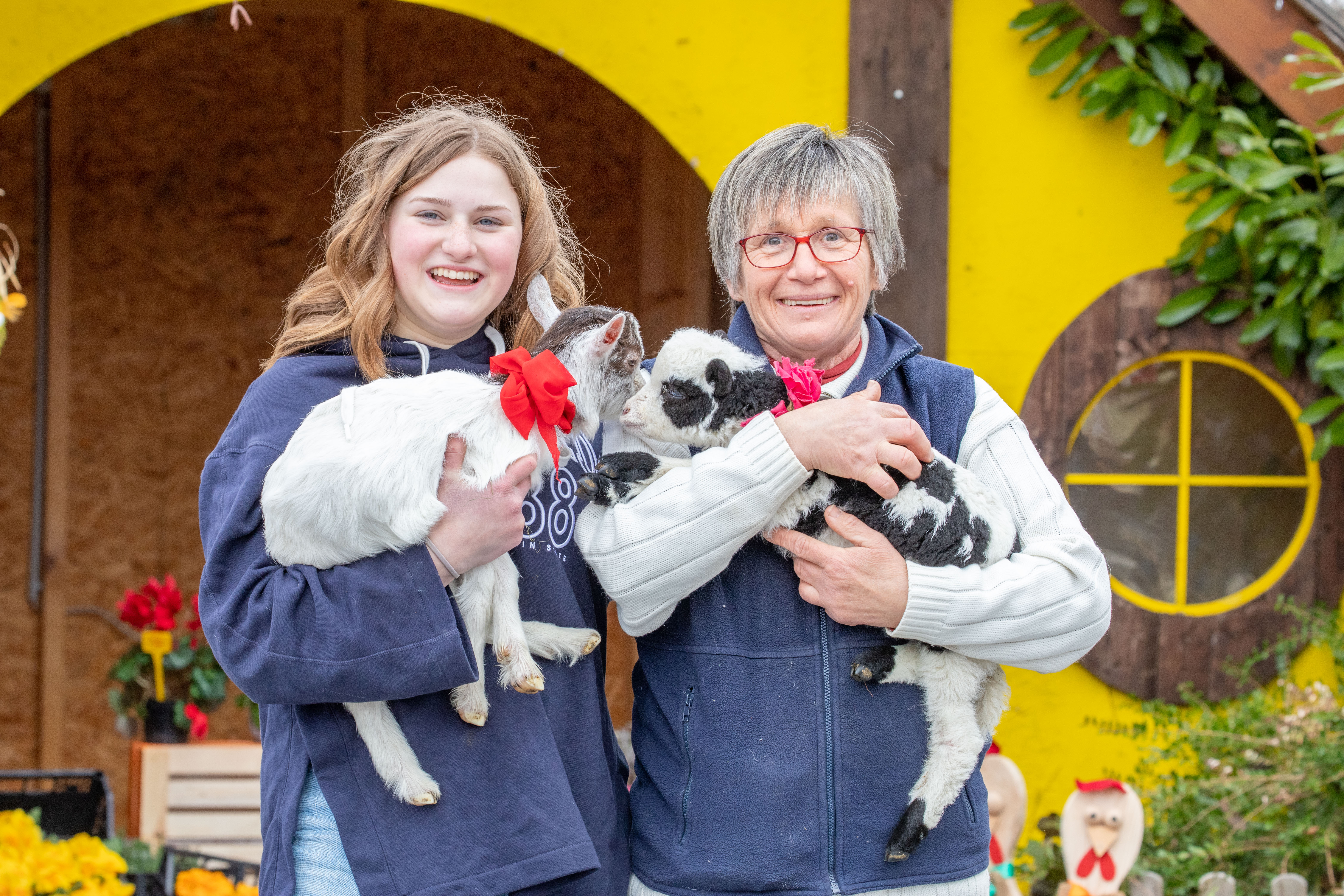 Streichelzoo am Pyramidenkogel